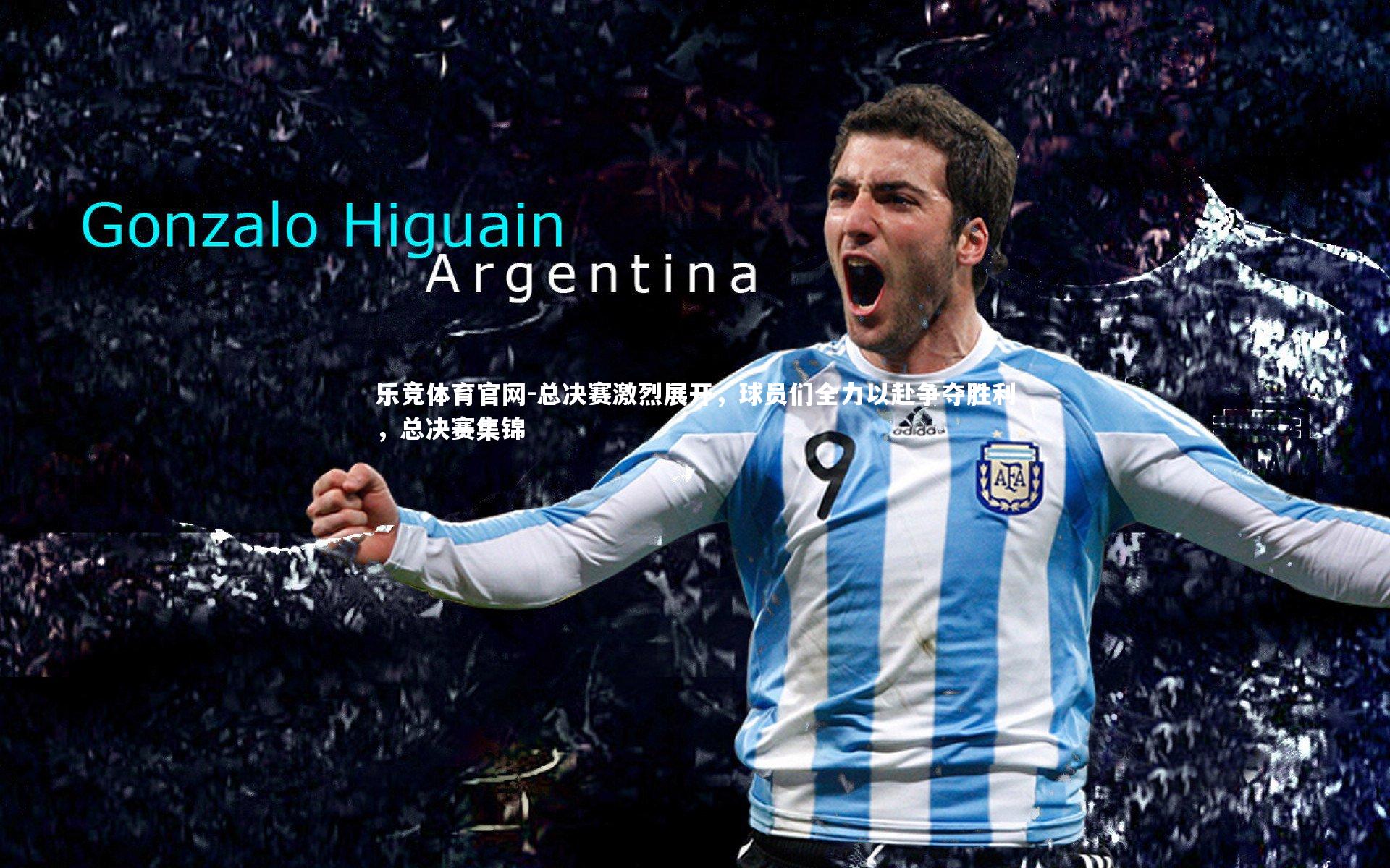 总决赛激烈展开，球员们全力以赴争夺胜利，总决赛集锦